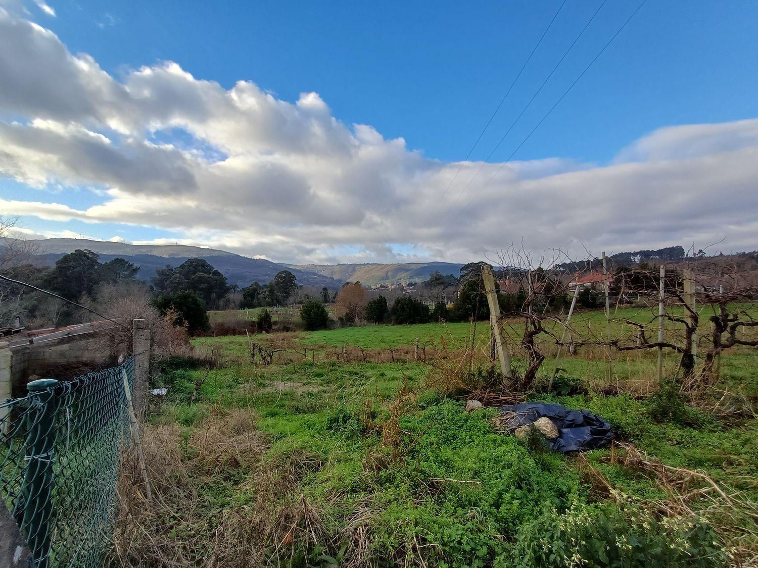 Fincas y solares-Venta-A CaÃ±iza-2041065-Foto-13