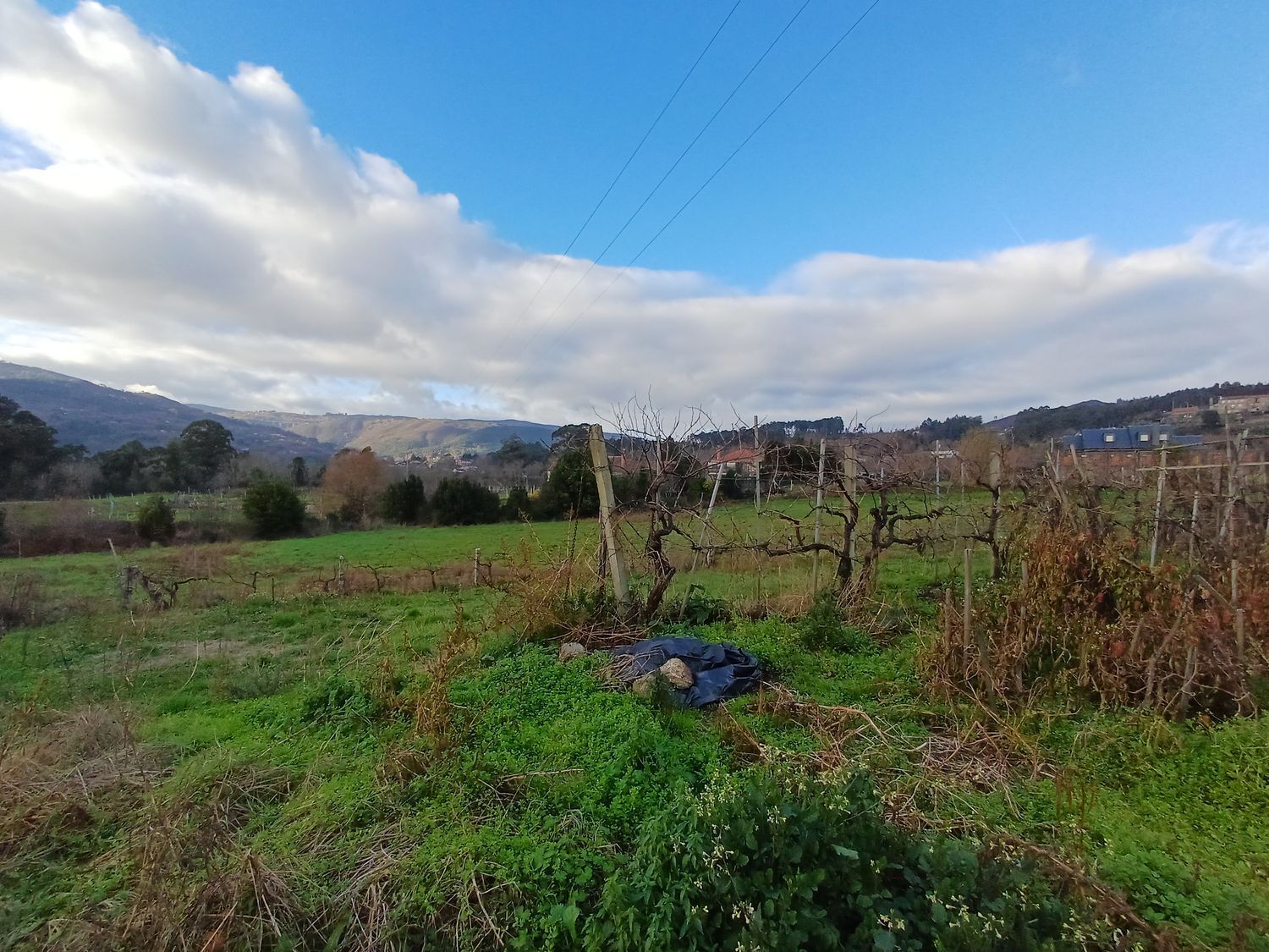 Fincas y solares-Venta-A CaÃ±iza-2041065-Foto-14