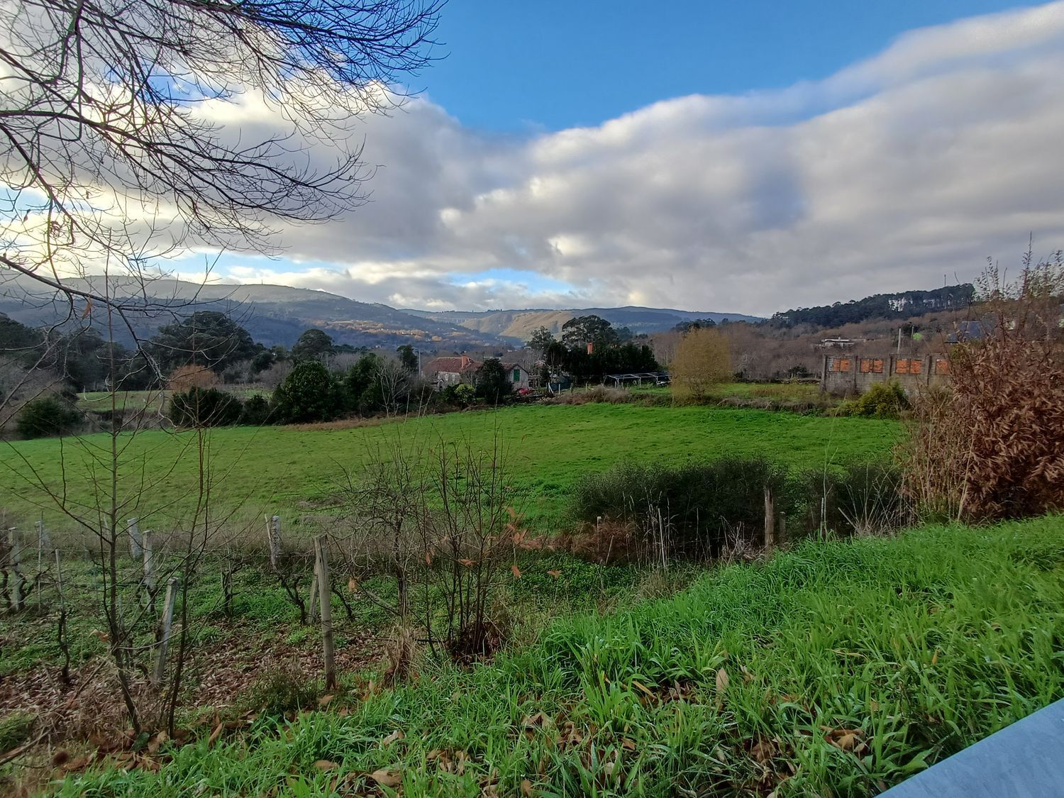 Fincas y solares-Venta-A CaÃ±iza-2041065-Foto-19