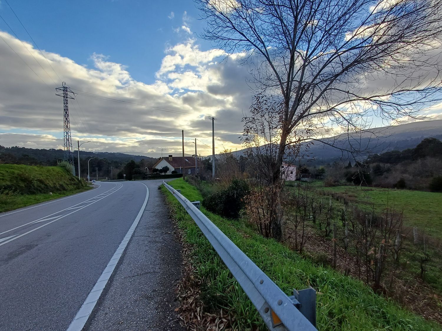 Fincas y solares-Venta-A CaÃ±iza-2041065-Foto-22