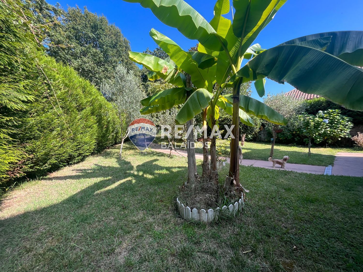 Propiedad en venta en Pontevedra, Gondomar