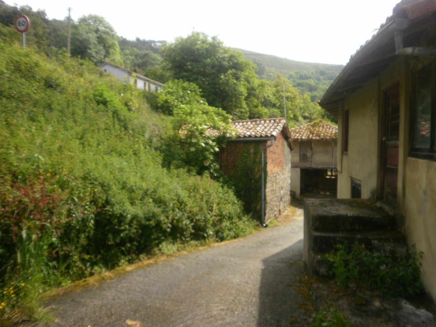 Propiedad en venta en Asturias, Villaviciosa