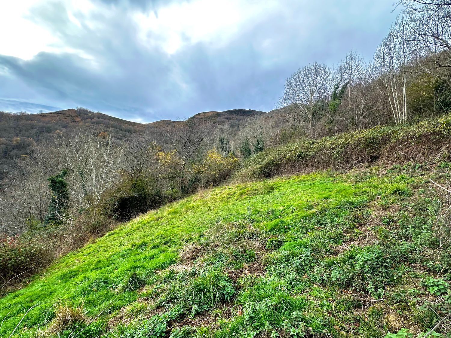 Propiedad en venta en Asturias, Laviana