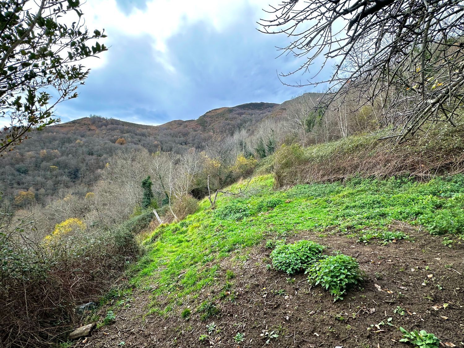 Propiedad en venta en Asturias, Laviana