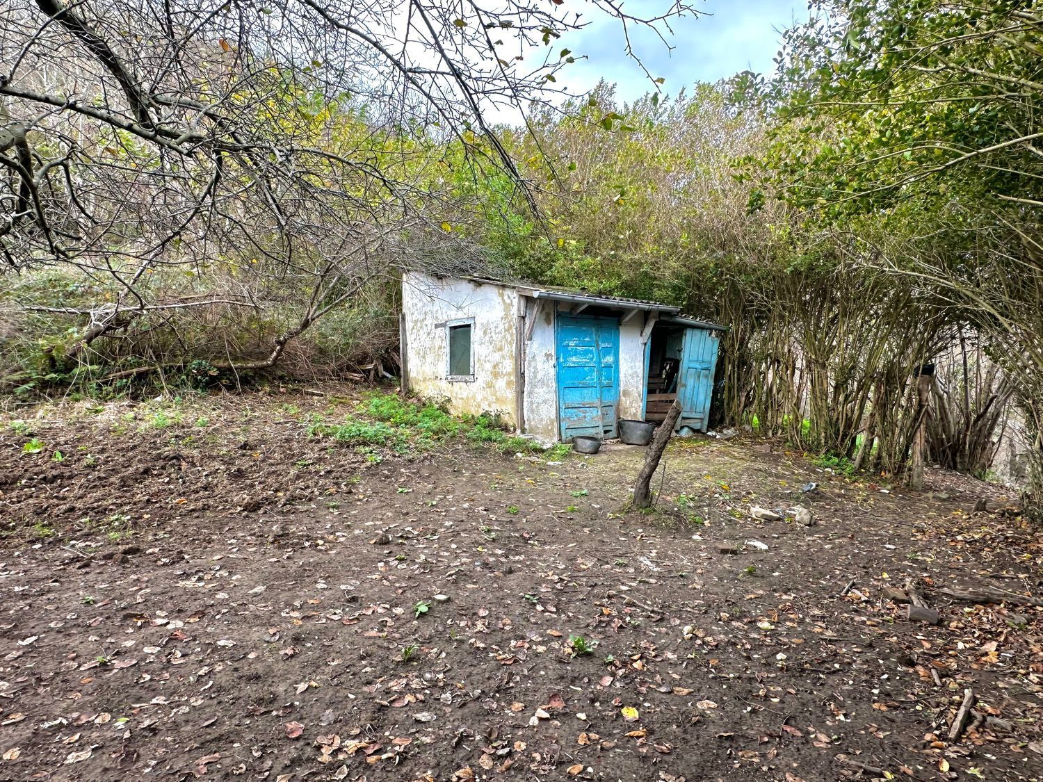 Propiedad en venta en Asturias, Laviana