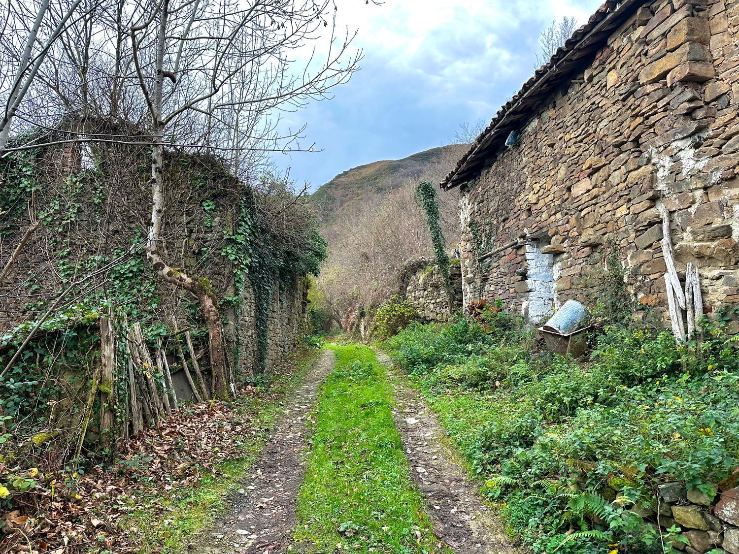 Propiedad en venta en Asturias, Laviana