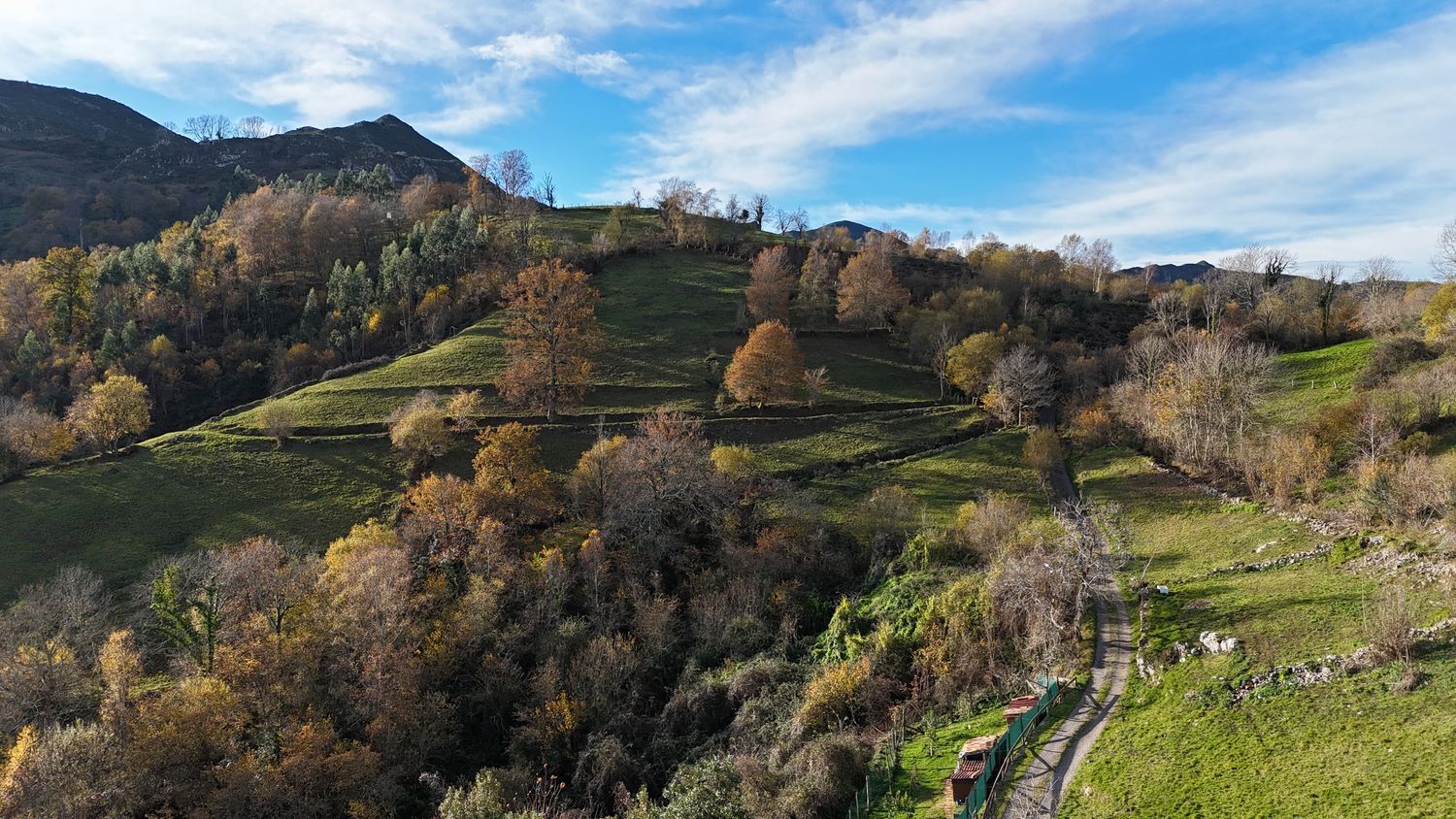 Propiedad en venta en Asturias, Piloña