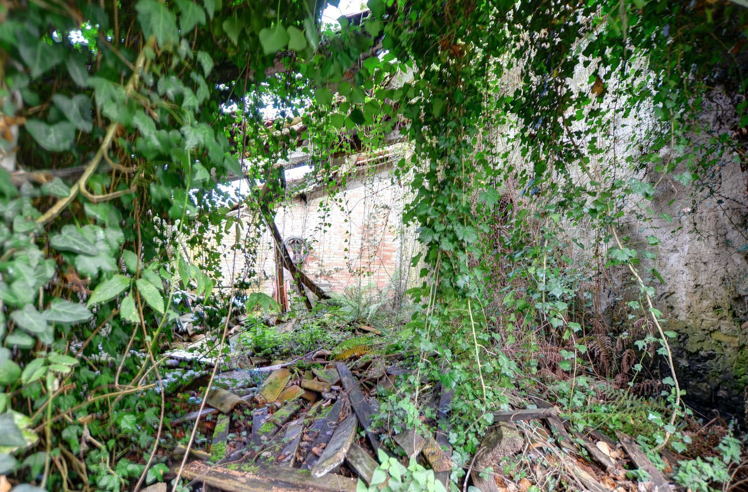 Propiedad en venta en Asturias, Piloña