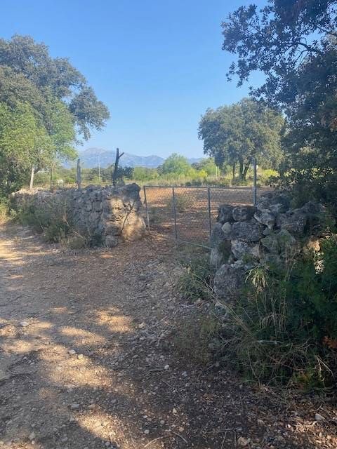 Fincas y solares-Venta-Costitx-2043459-Foto-3