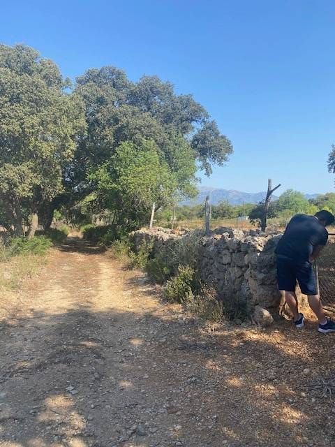 Fincas y solares-Venta-Costitx-2043459-Foto-5