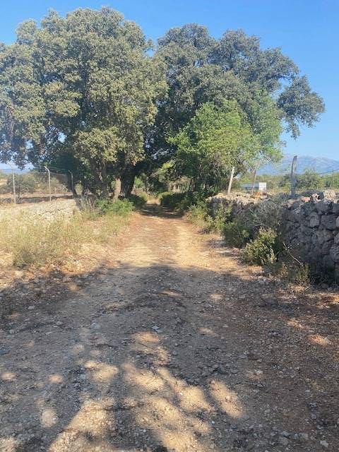 Fincas y solares-Venta-Costitx-2043459-Foto-6