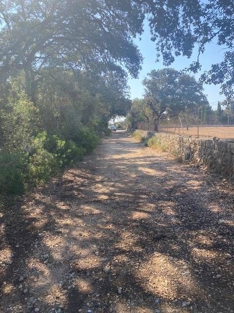 Fincas y solares-Venta-Costitx-2043459-Foto-7