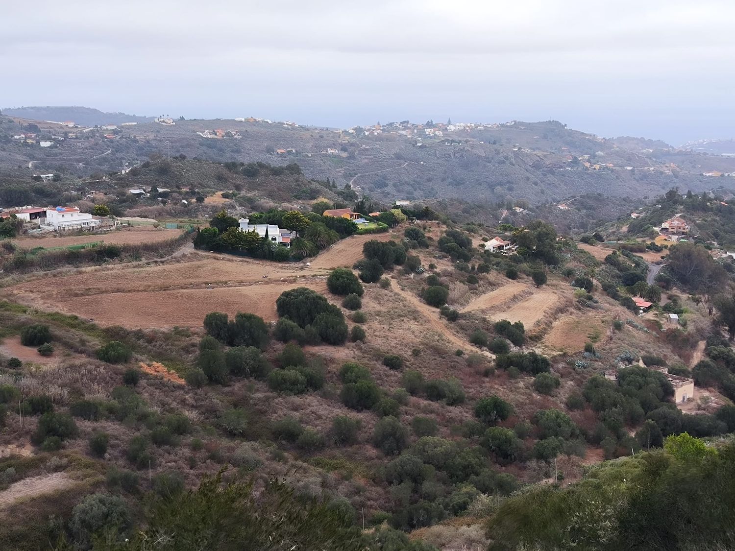 Fincas y solares-Venta-Teror-1474701-Foto-2