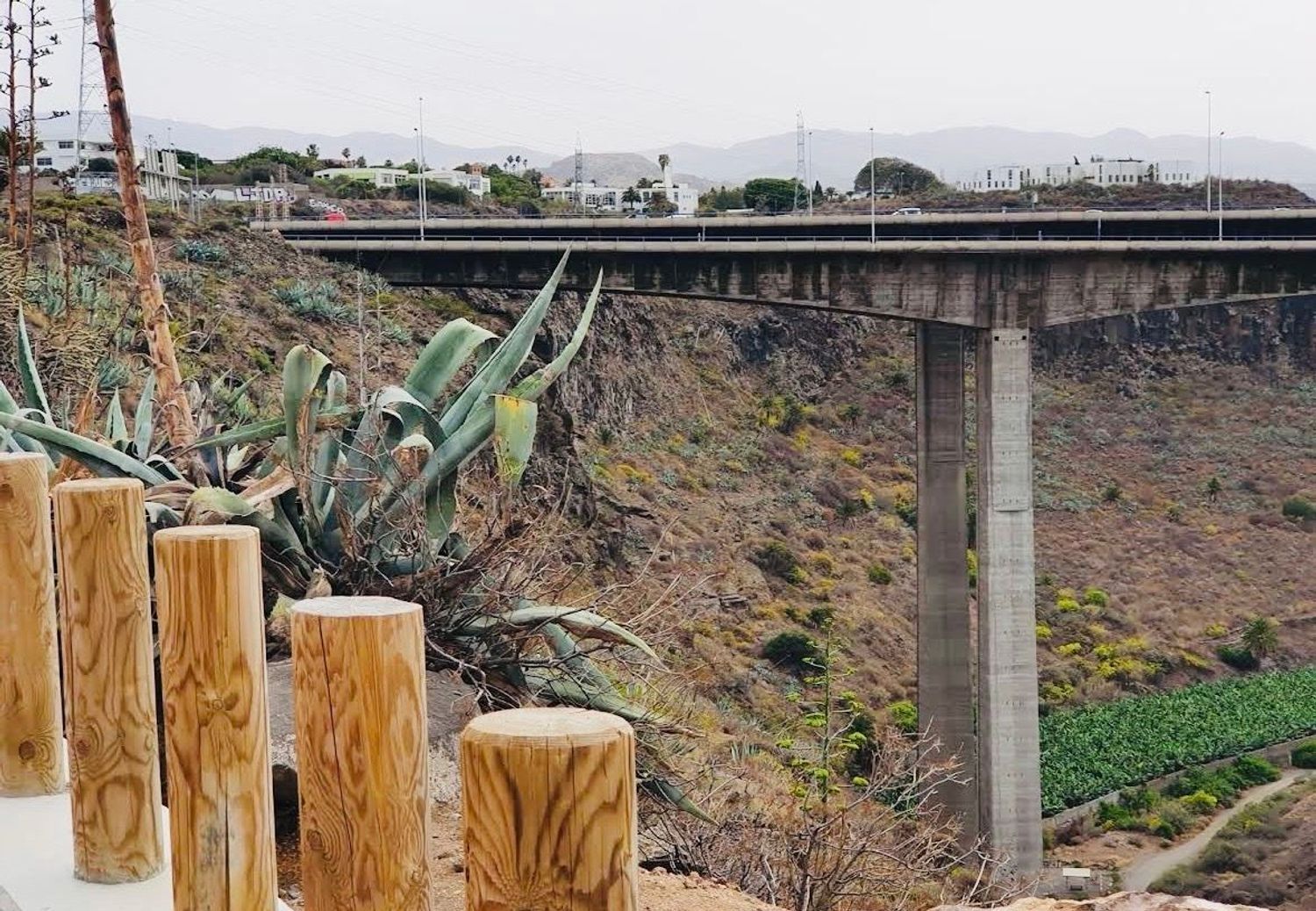 Pisos-Venta-Las Palmas de Gran Canaria-2041092-Foto-16