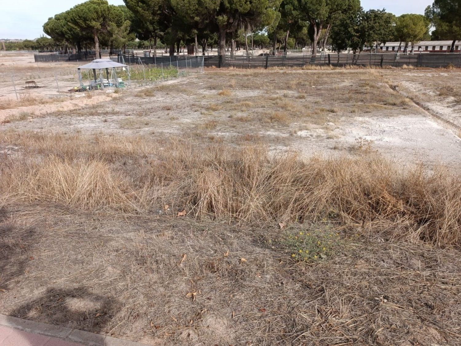 Fincas y solares-Venta-Aldeamayor de San MartÃ­n-886507-Foto-2