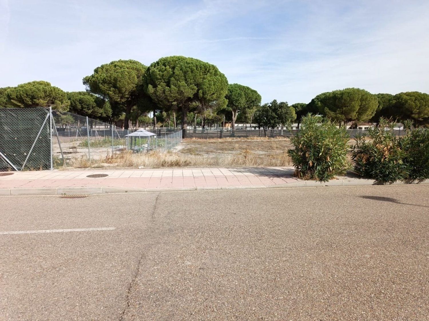 Fincas y solares-Venta-Aldeamayor de San MartÃ­n-886507-Foto-5