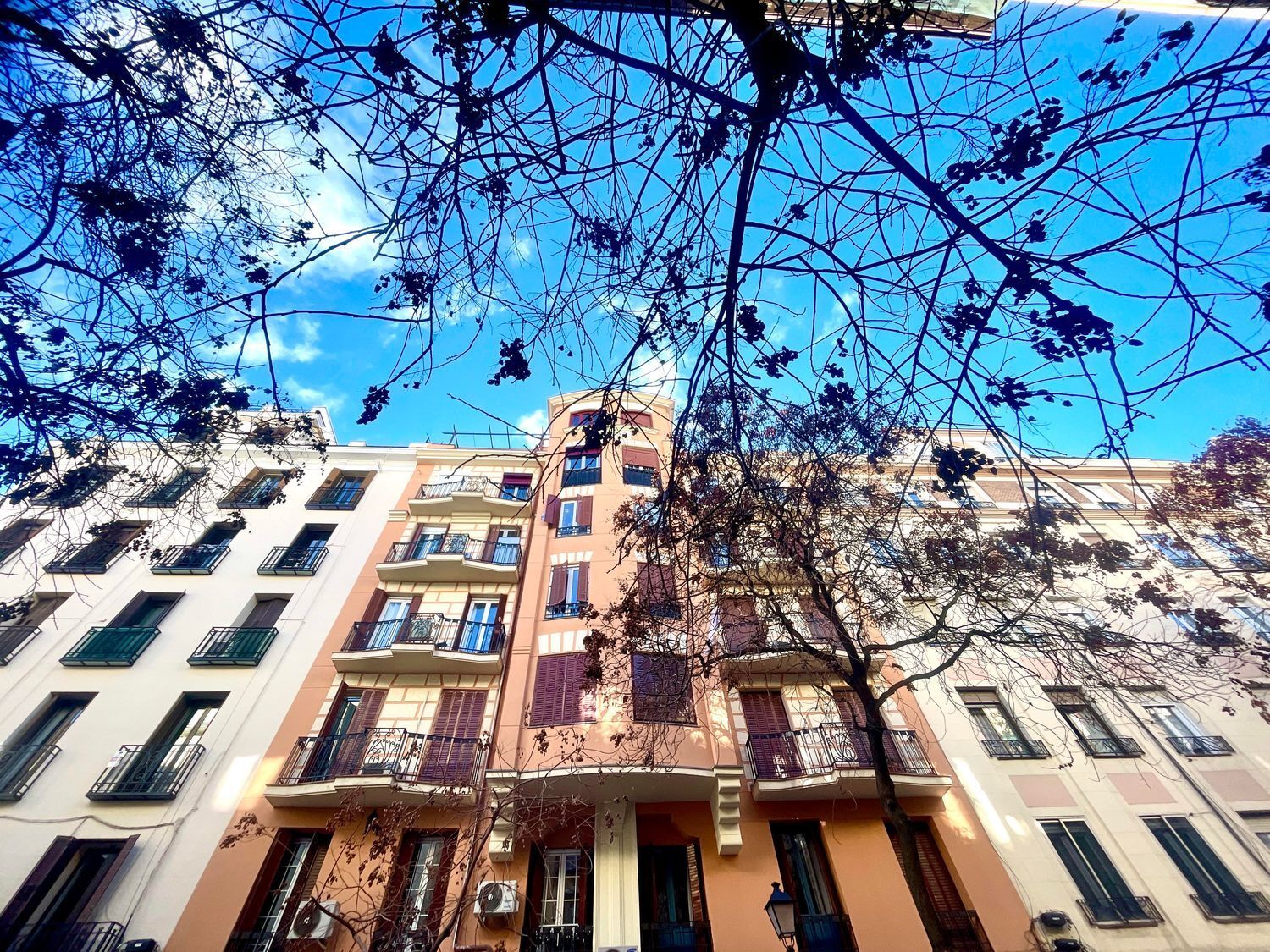 Pisos-Alquiler-Madrid-2041107-Foto-16