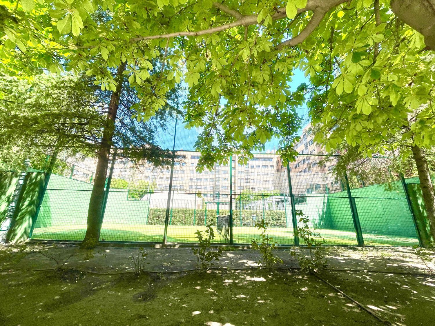 Pisos-Alquiler-Madrid-2011186-Foto-29