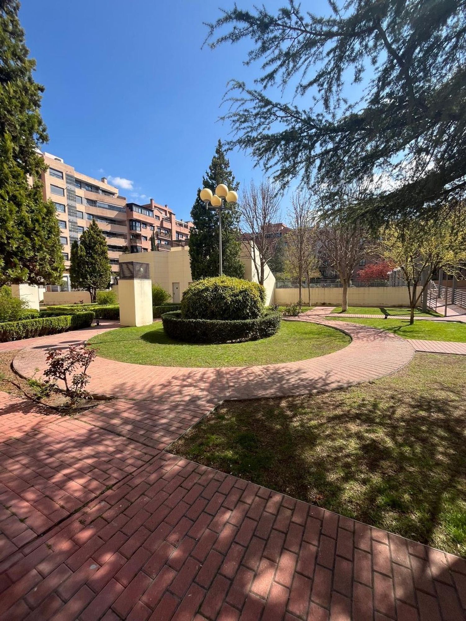 Pisos-Alquiler-Madrid-2011186-Foto-33