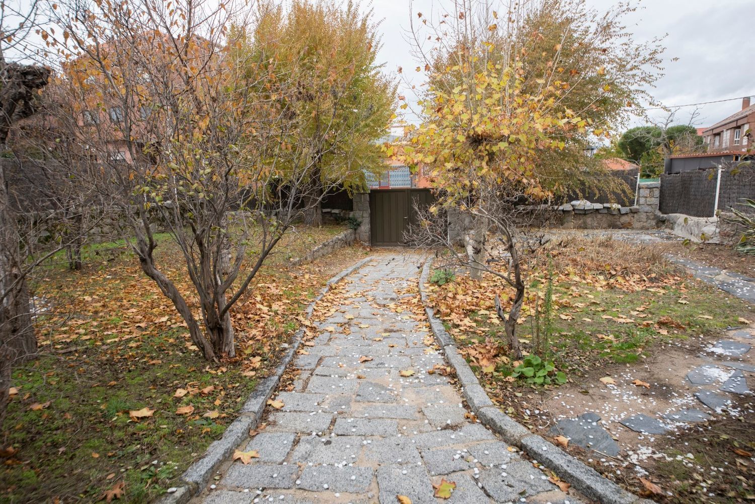 Fincas y solares-Venta-Galapagar-2041110-Foto-6