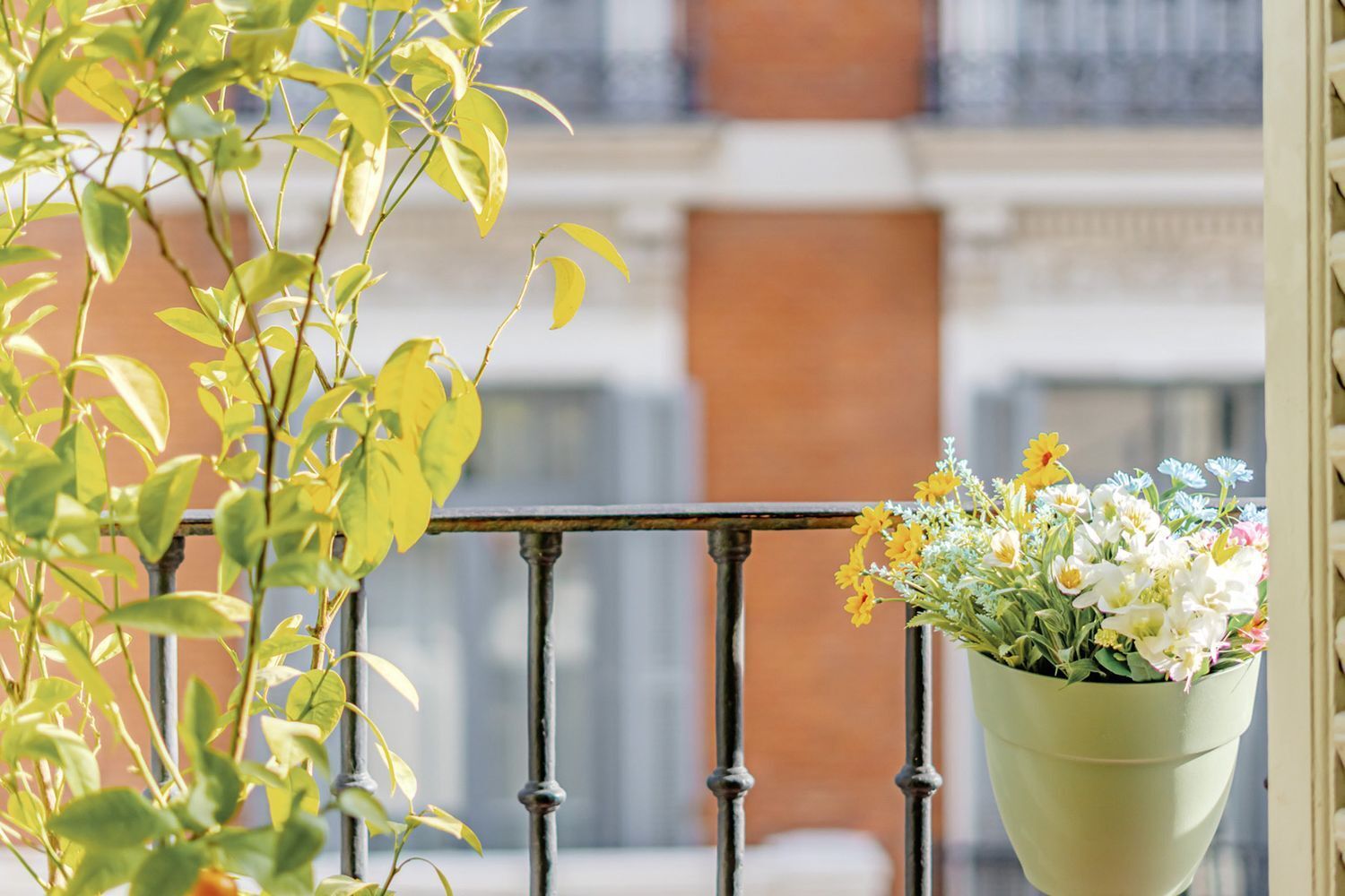 Pisos-Venta-Madrid-2041113-Foto-65