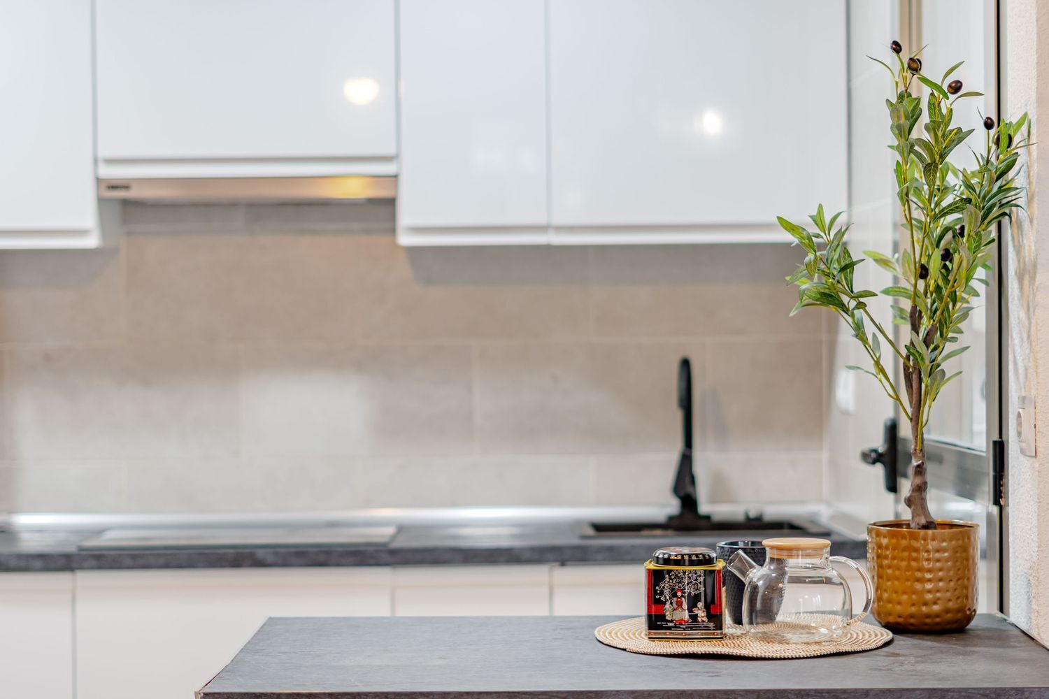 Pisos-Alquiler-Madrid-2041116-Foto-14