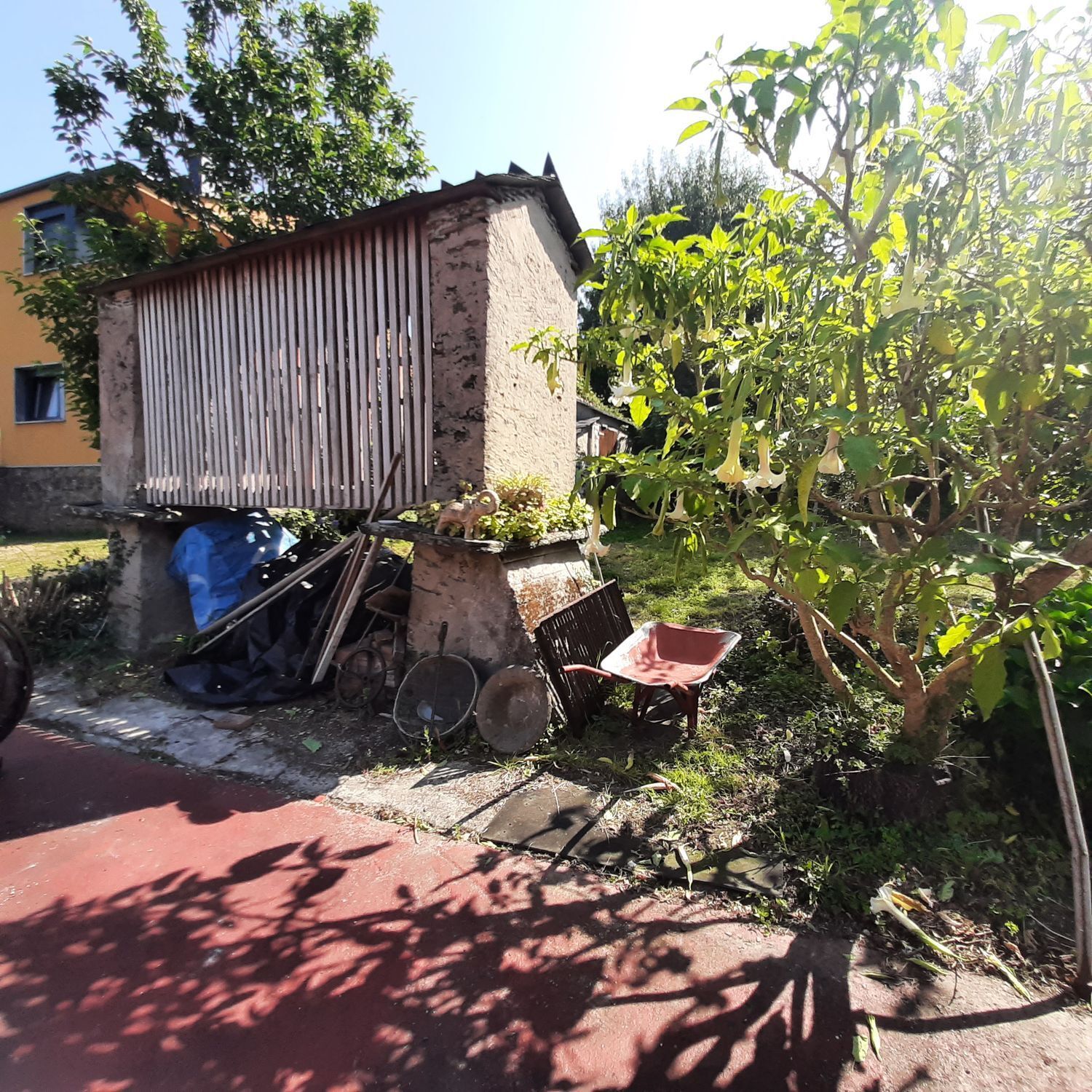 Casas o chalets-Venta-MaÃ±Ã³n-1835032-Foto-21