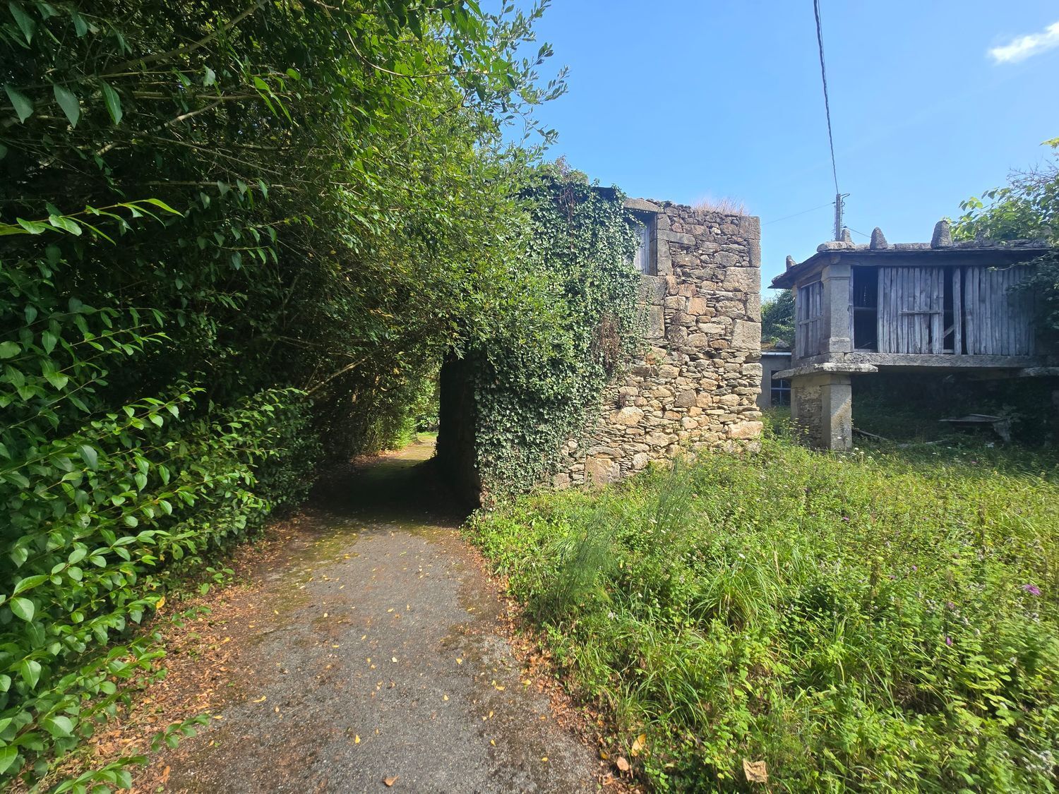 Casas o chalets-Venta-Viveiro-1845996-Foto-12