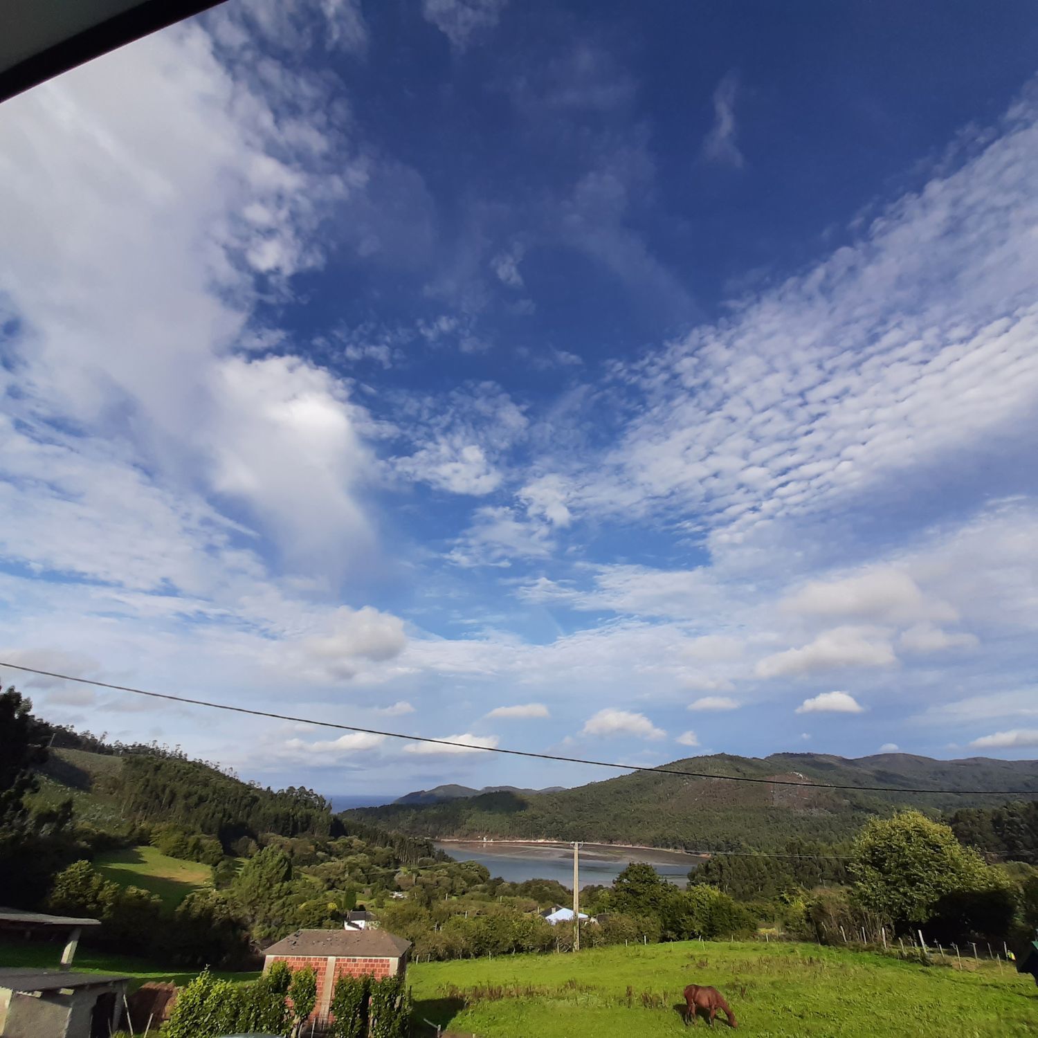 Casas o chalets-Venta-MaÃ±Ã³n-1969723-Foto-37