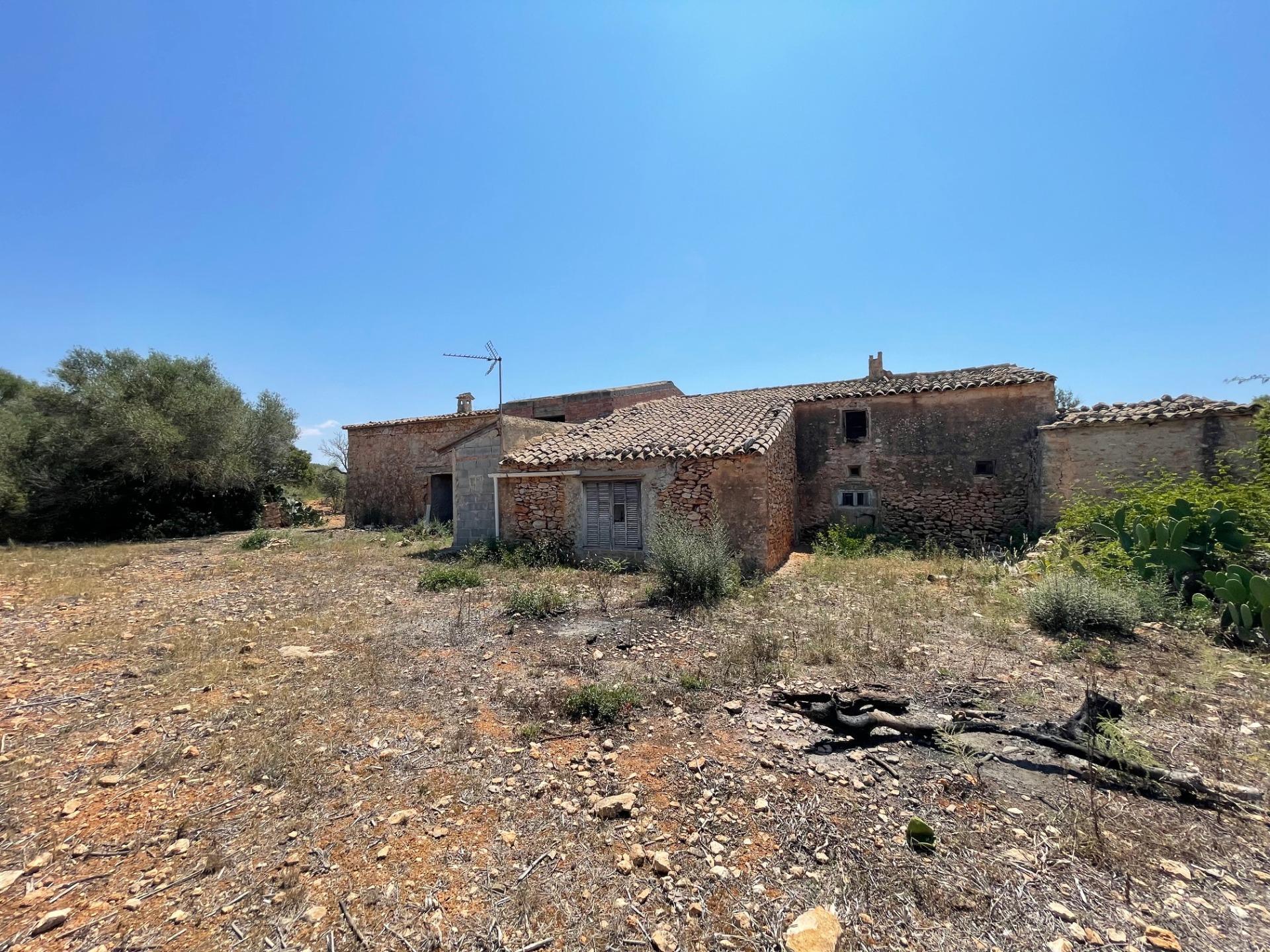 Pisos-Venta-Llucmajor-1685494-Foto-13