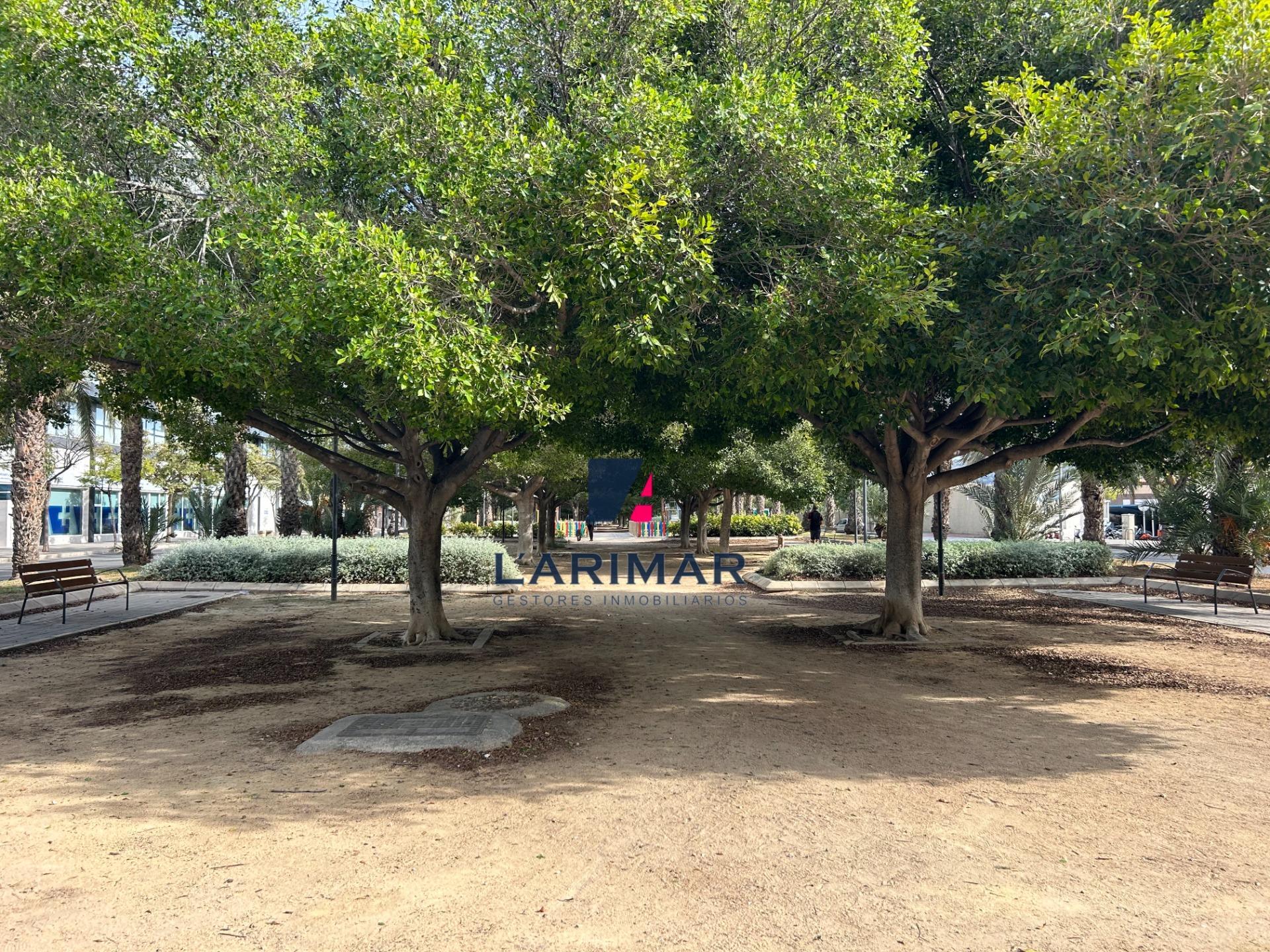 Pisos-Venta-Alicante-2009500-Foto-40