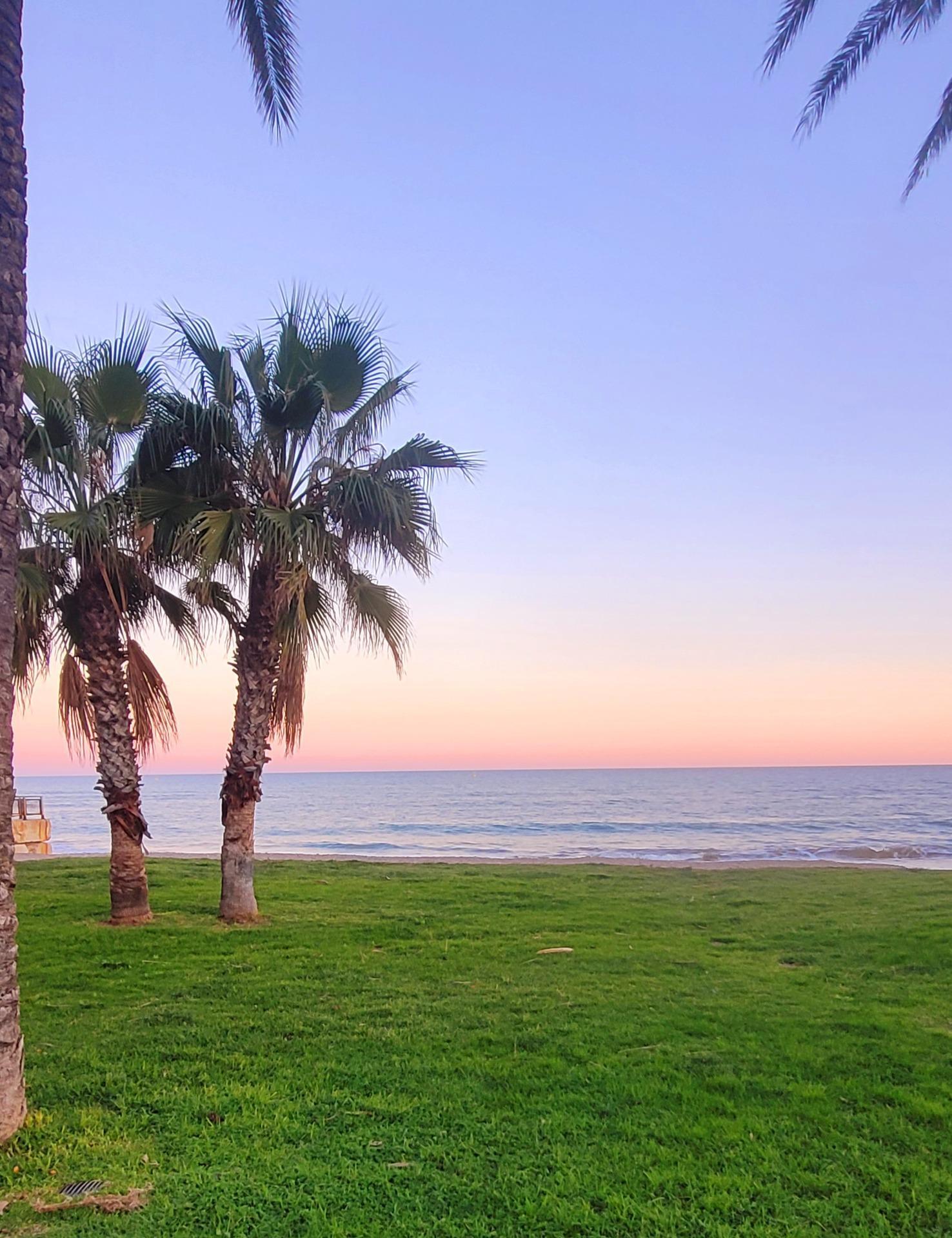 Pisos-Venta-Oropesa del Mar-2043486-Foto-33