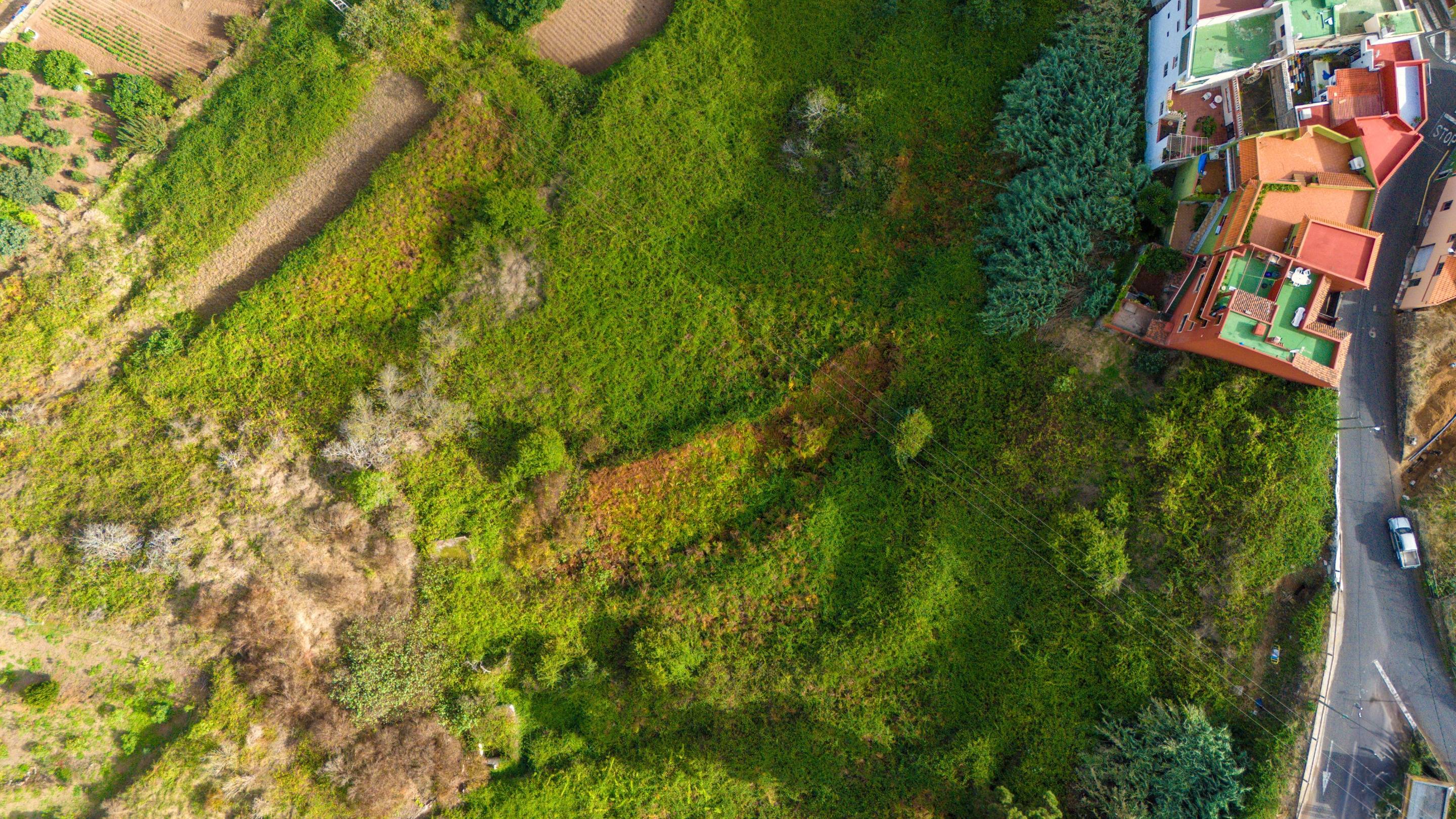 Fincas y solares-Venta-Los Realejos-1712843-Foto-6