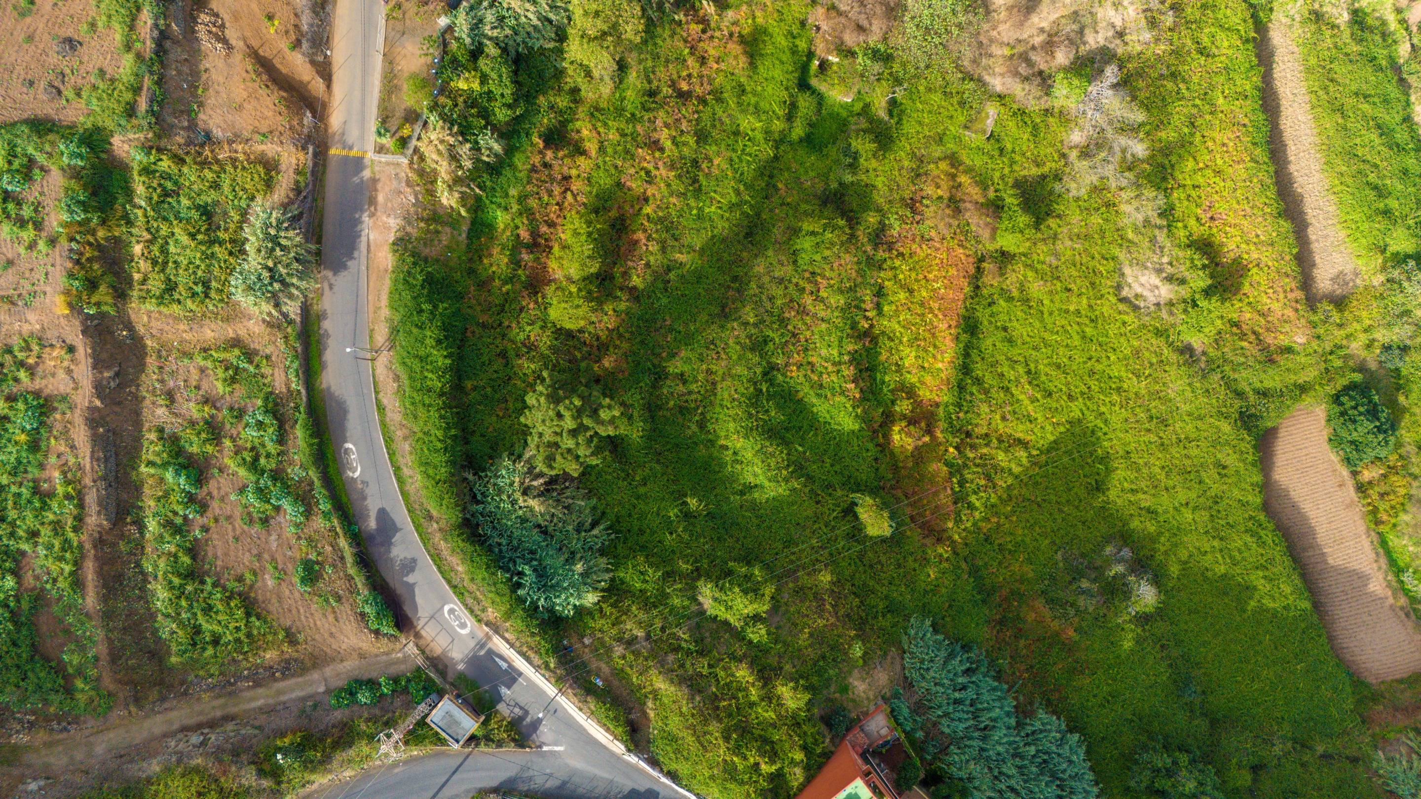 Fincas y solares-Venta-Los Realejos-1712843-Foto-7