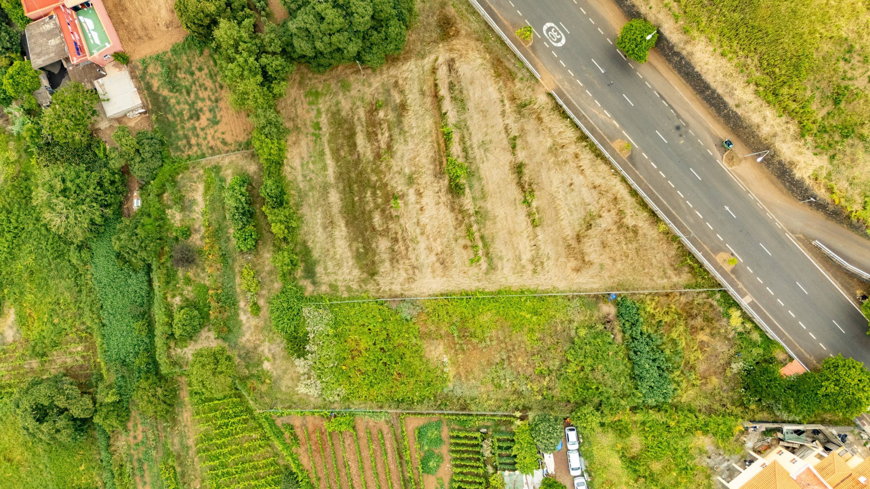 Fincas y solares-Venta-El Sauzal-1830417-Foto-2