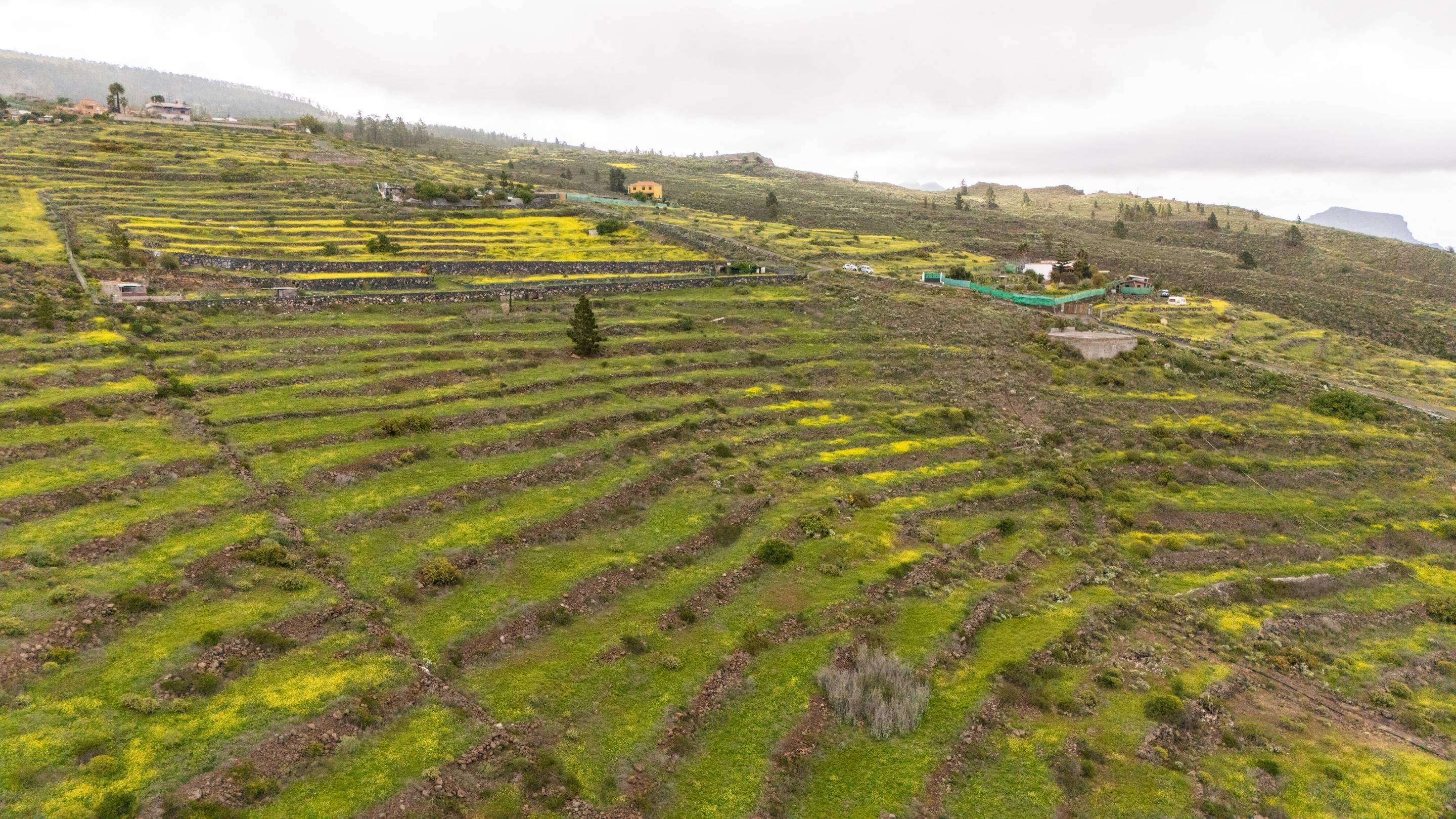 Fincas y solares-Venta-Adeje-1720662-Foto-3