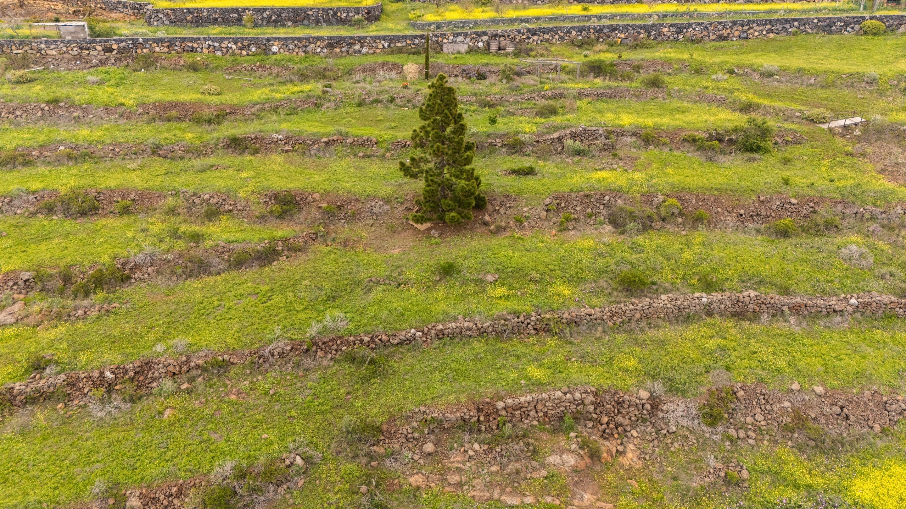 Fincas y solares-Venta-Adeje-1720662-Foto-6