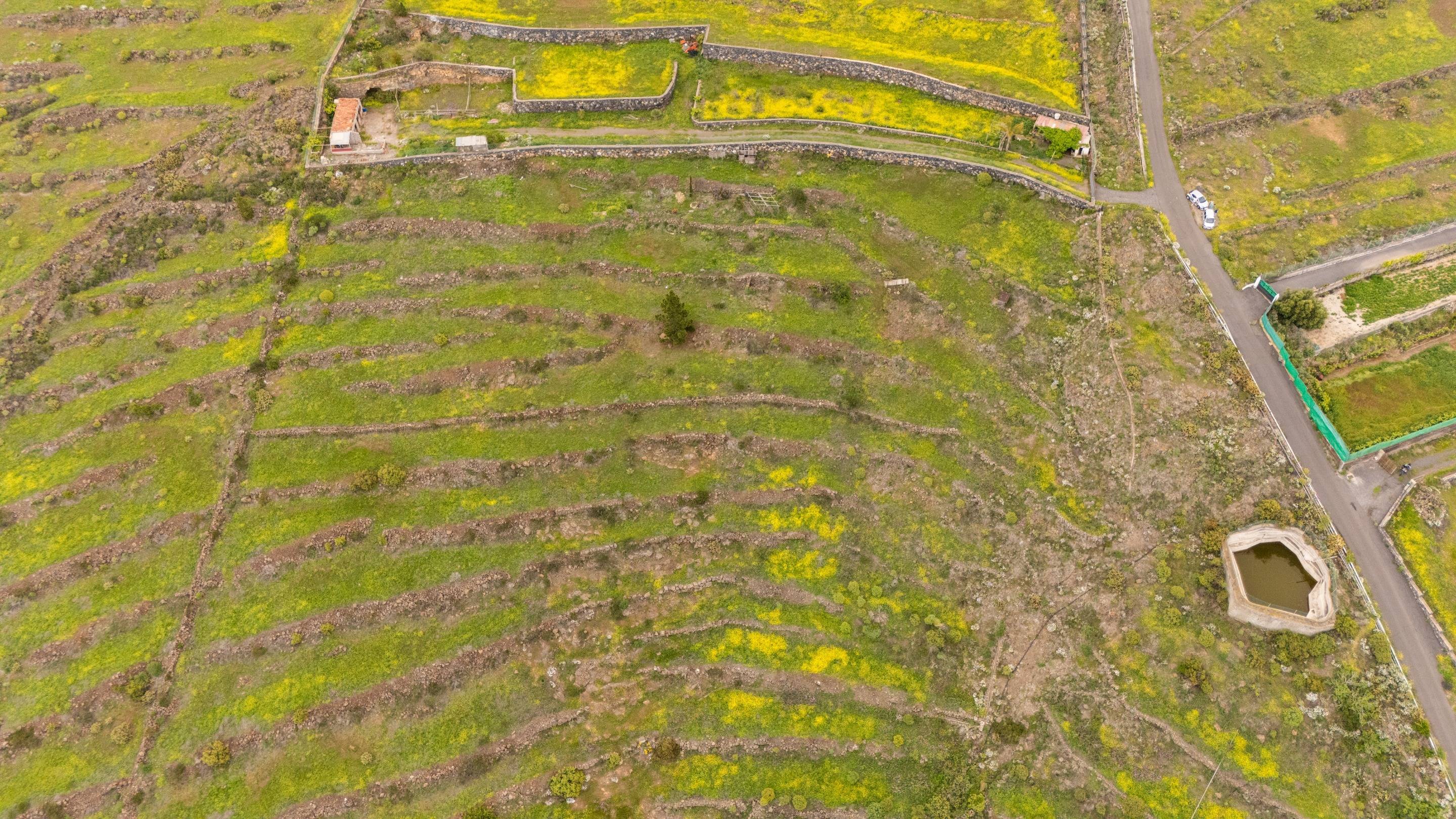 Fincas y solares-Venta-Adeje-1720662-Foto-11