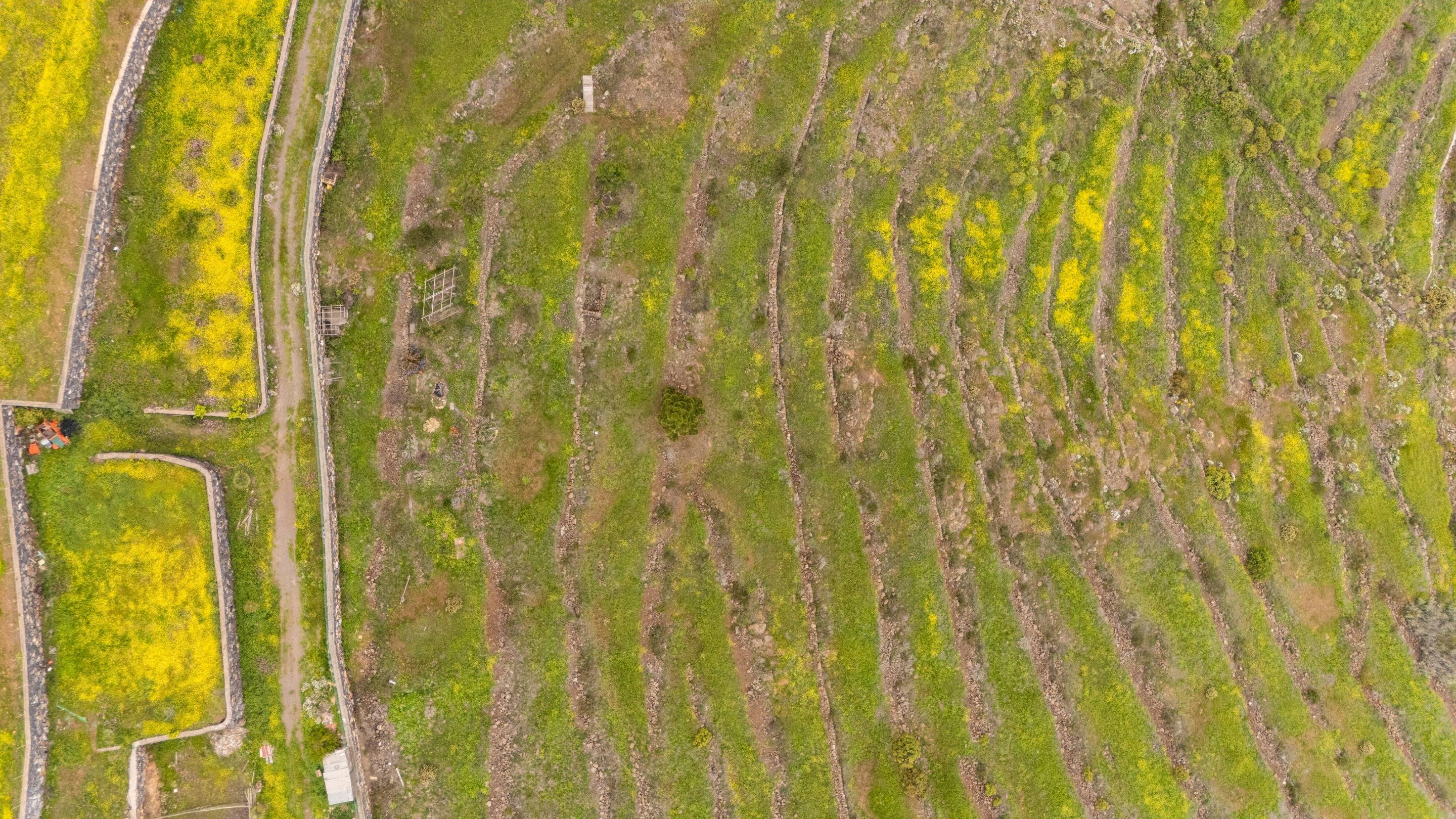 Fincas y solares-Venta-Adeje-1720662-Foto-8