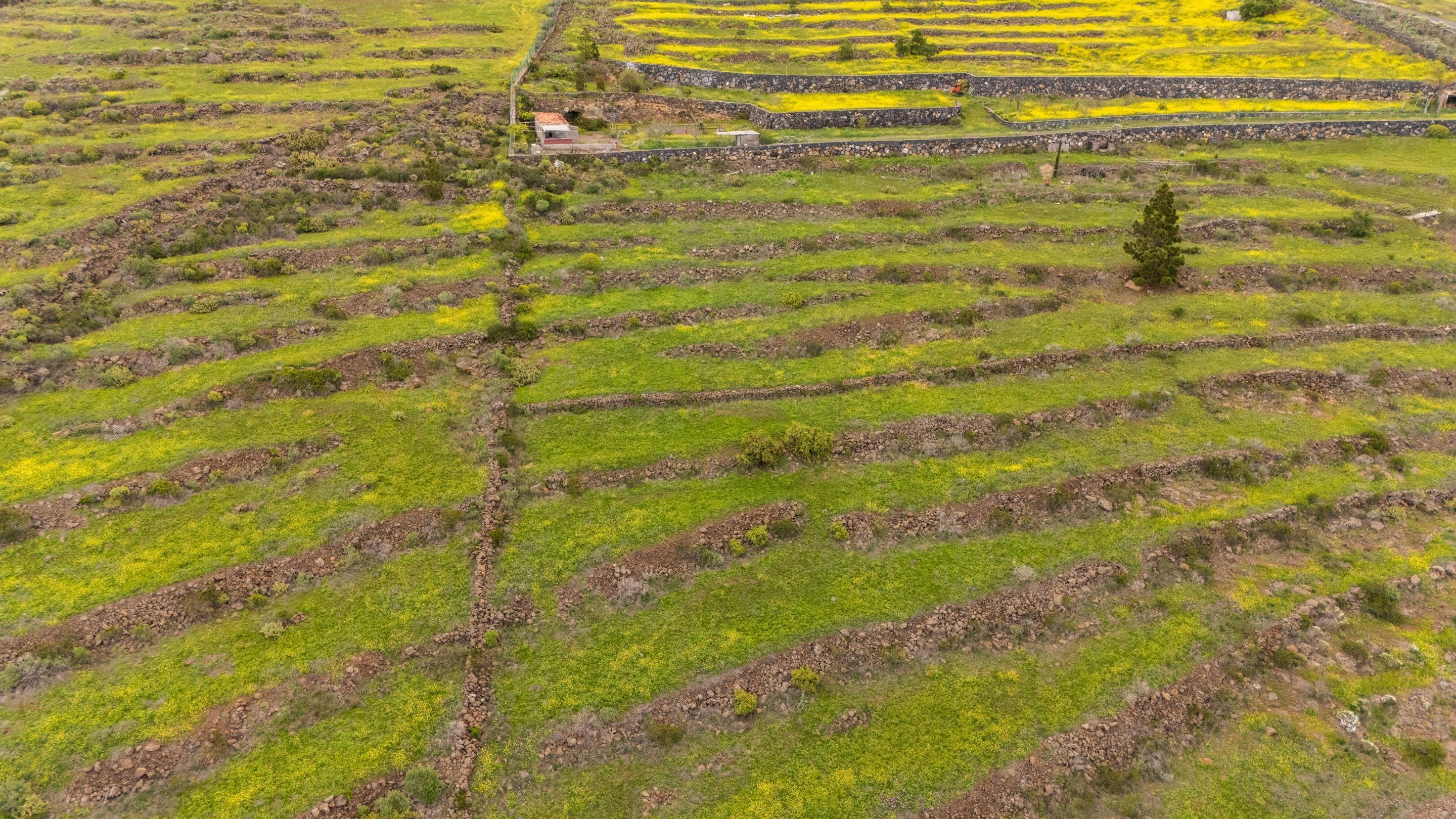 Fincas y solares-Venta-Adeje-1720662-Foto-9