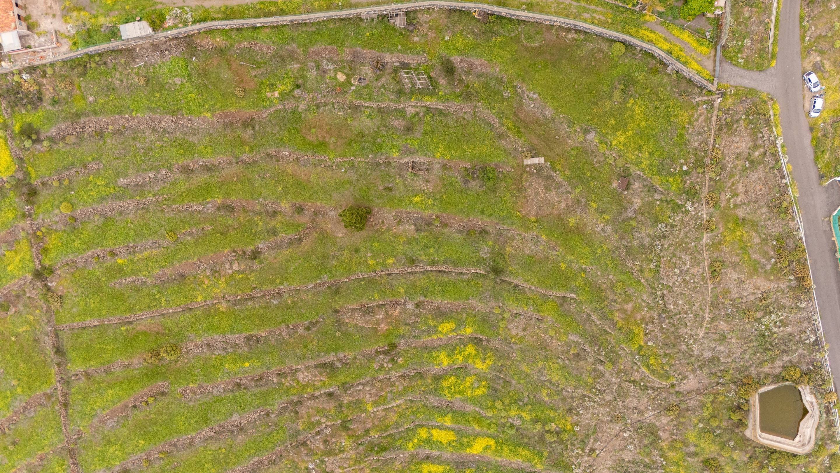 Fincas y solares-Venta-Adeje-1720662-Foto-12