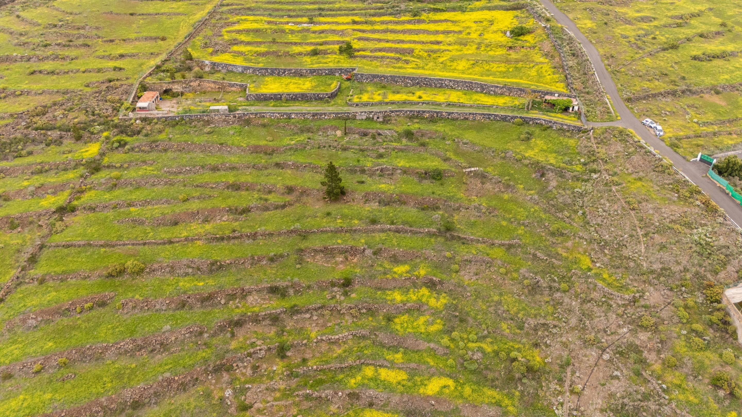 Fincas y solares-Venta-Adeje-1720662-Foto-13