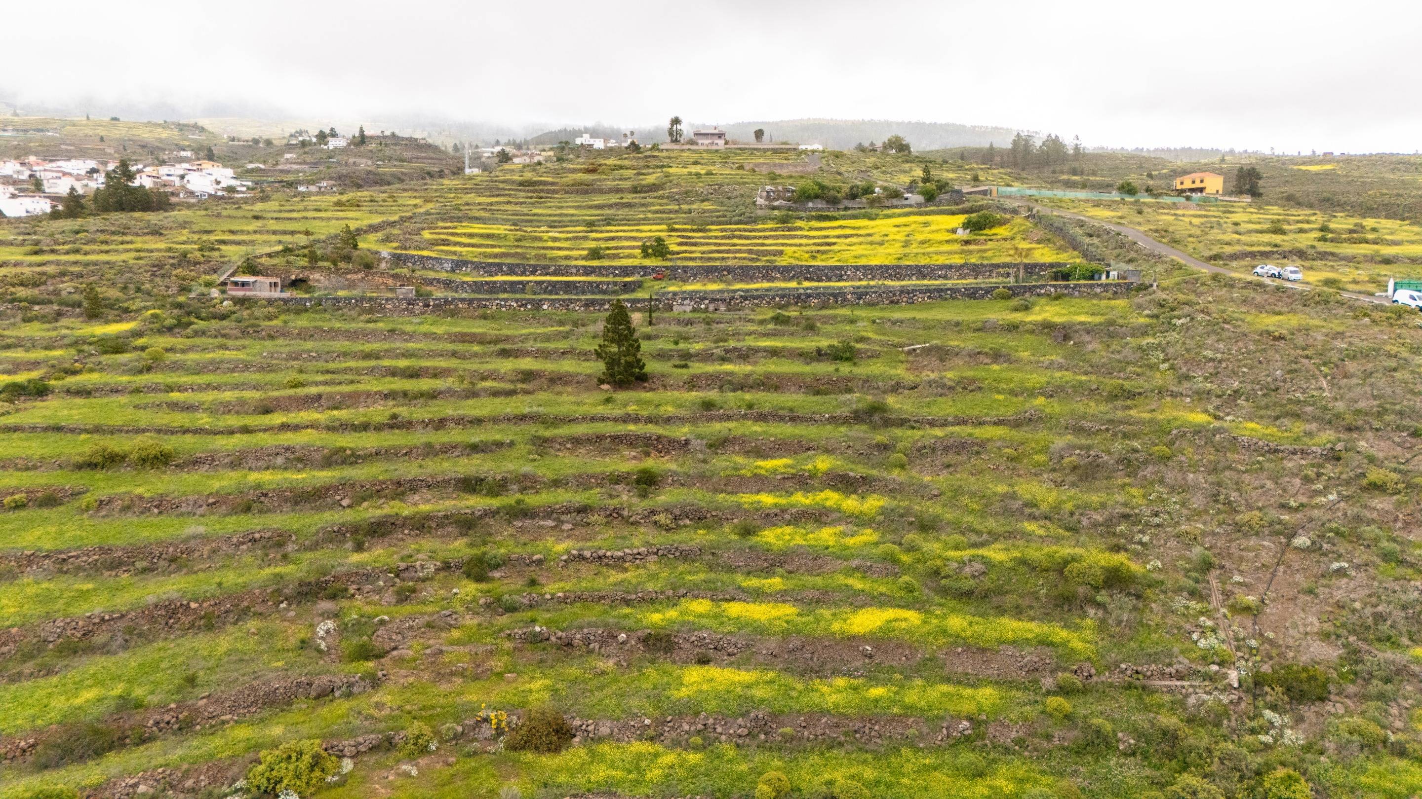 Fincas y solares-Venta-Adeje-1720662-Foto-14