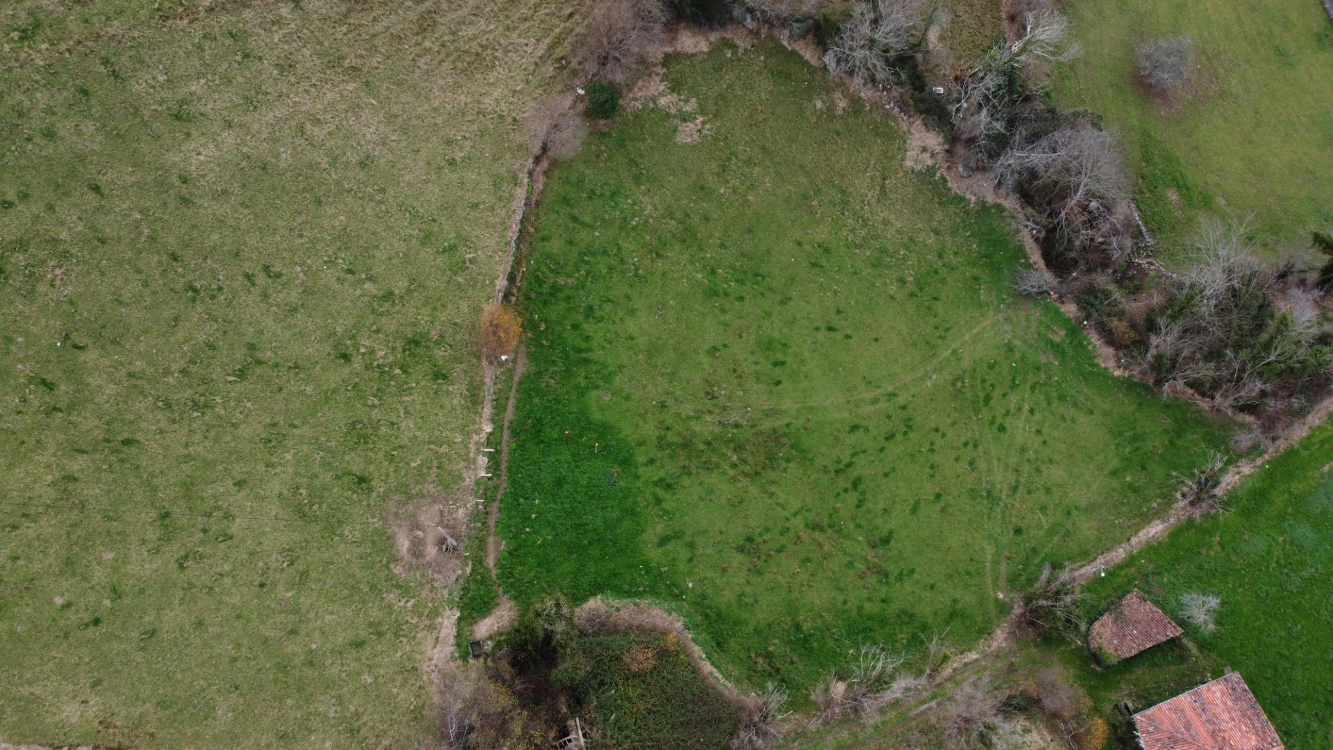 Fincas y solares-Venta-Amieva-2031303-Foto-11