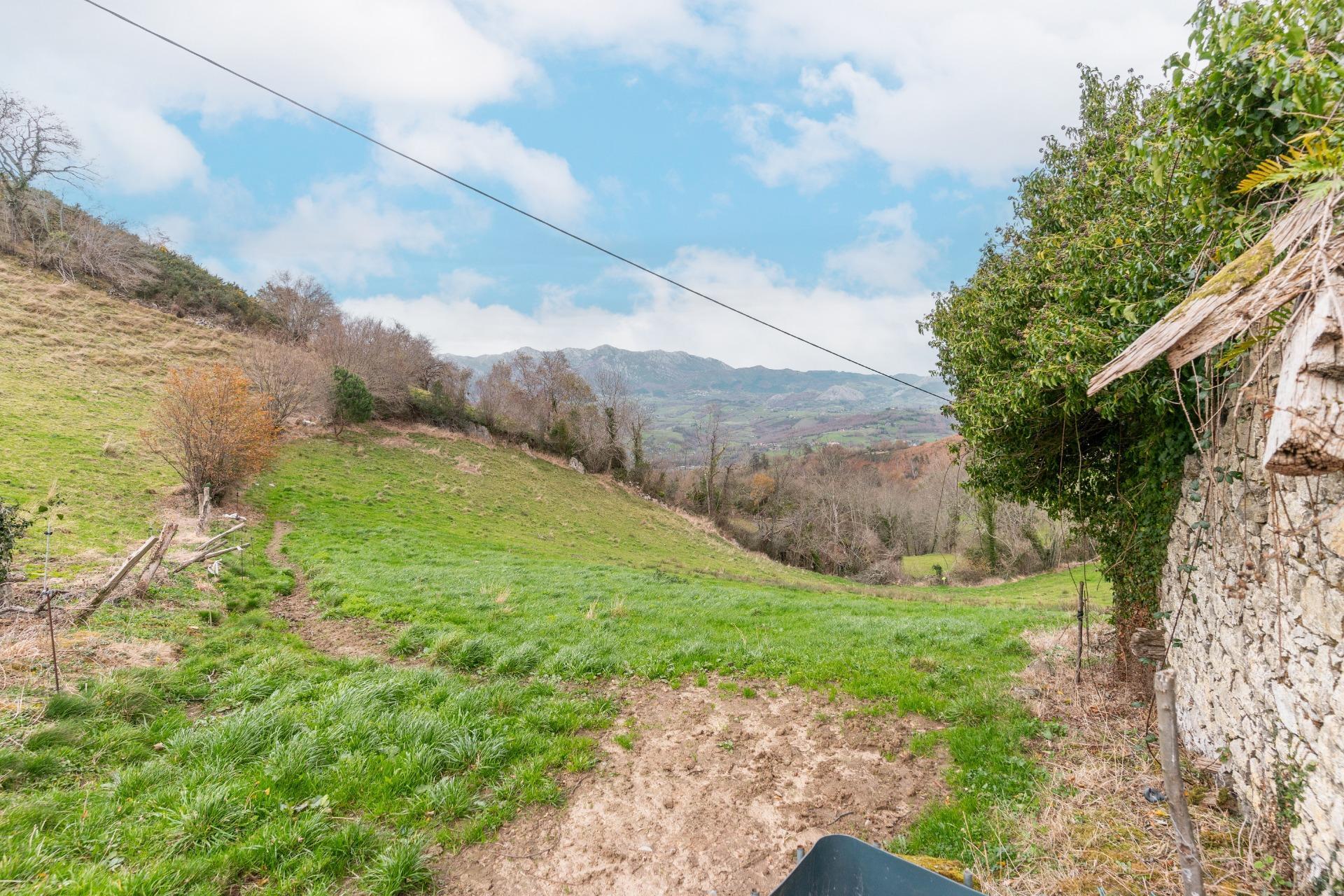 Fincas y solares-Venta-Amieva-2031303-Foto-16