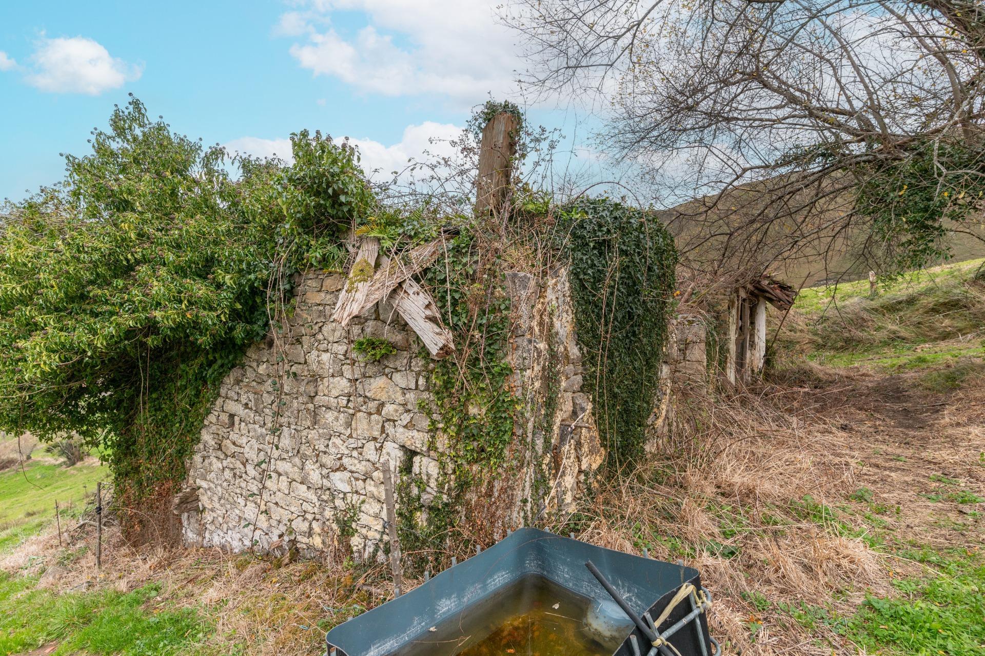 Fincas y solares-Venta-Amieva-2031303-Foto-17