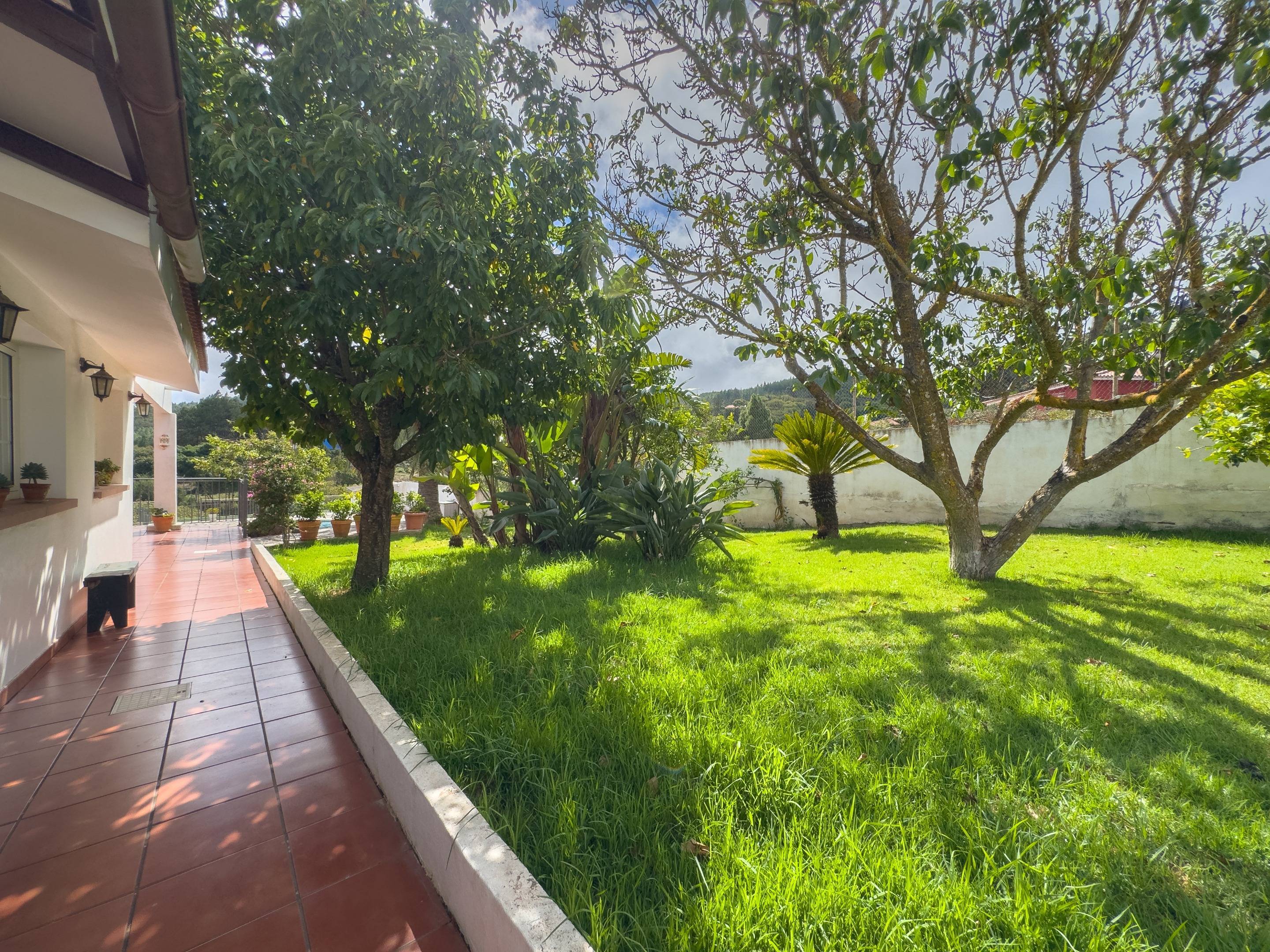 Casas o chalets-Venta-El Rosario-1884832-Foto-56