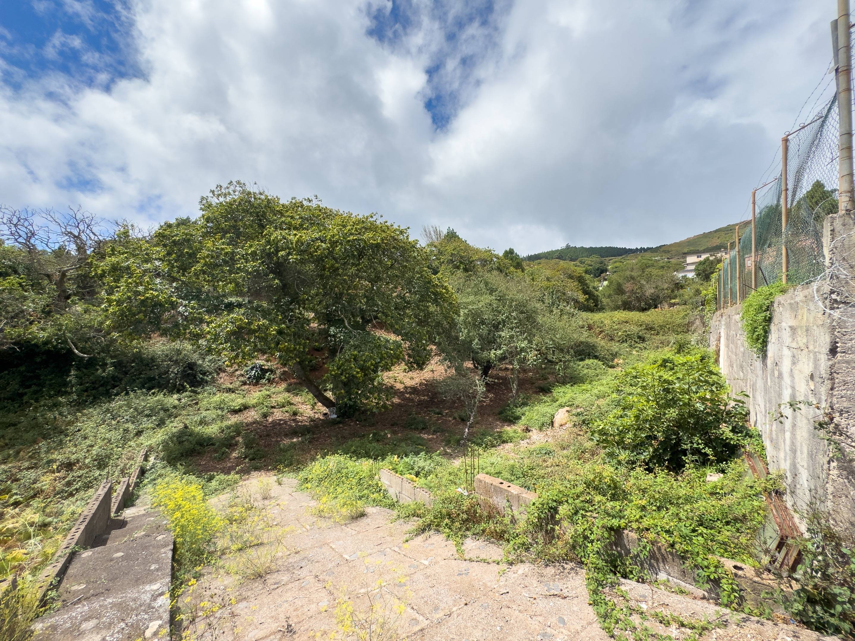 Casas o chalets-Venta-El Rosario-1884832-Foto-77