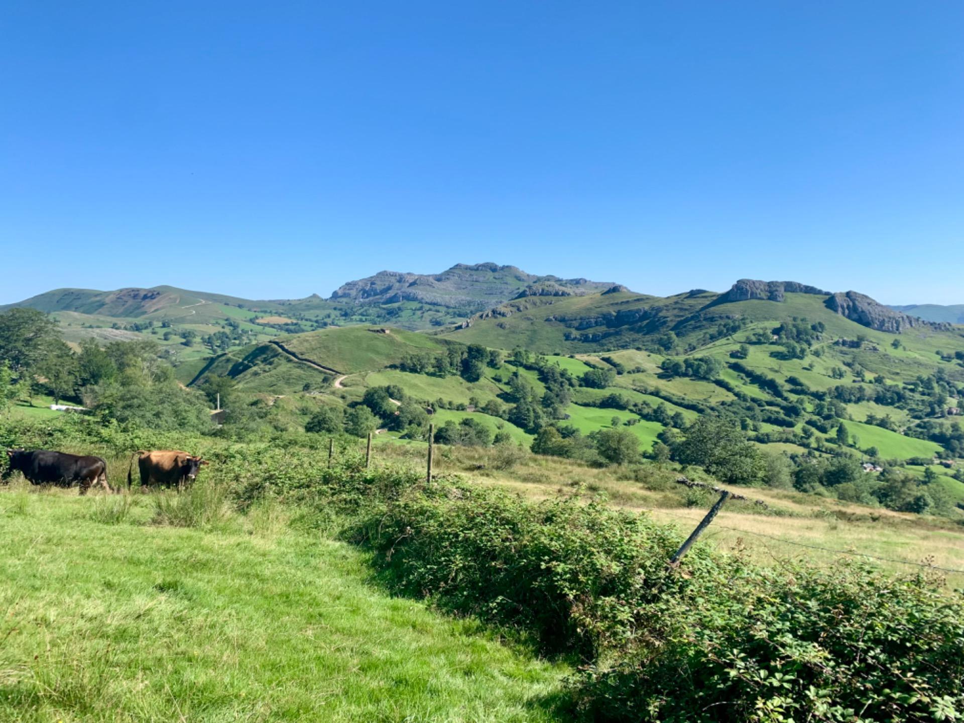 Casas o chalets-Venta-San Roque de Riomera	-1838497-Foto-58