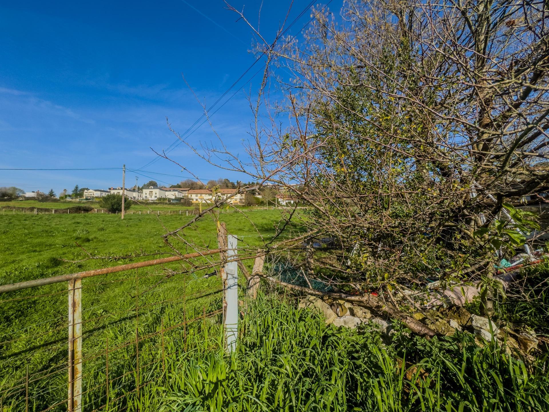 Fincas y solares-Venta-PiÃ©lagos-1652937-Foto-8